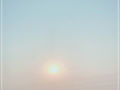-杭州湾海上花田景区