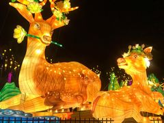 -黄龙溪欢乐田园