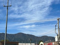 -苏家坨柳林村二月兰花海