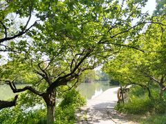 -西溪国家湿地公园