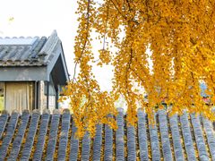 -自如ZSPACE四合院艺术餐厅