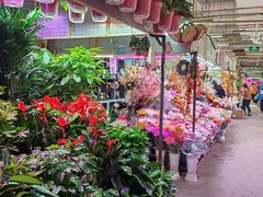 -花鸟鱼虫鲜花绿植市场(玉泉路店)