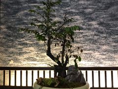 景观位-江南厨子·品苏杭(华润万象店)