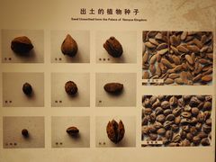 -南越王博物院(王宫展区)