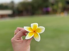 -亚龙湾喜来登·美景台大堂吧