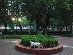 -晓港公园