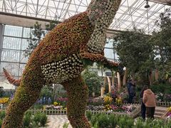 -沈阳植物园