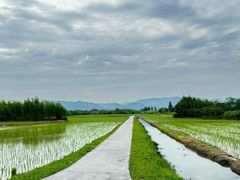 -良渚古城遗址公园