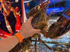 -驻海渔市(置信店)