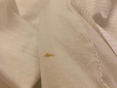 -广交会威斯汀酒店