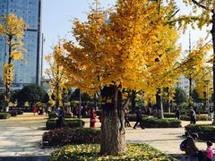 -百林公园-两江幸福广场