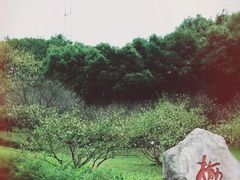 -重庆彩云湖湿地公园
