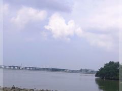 -宝安西湾红树林湿地公园
