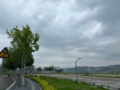 -金海湾滨江公园