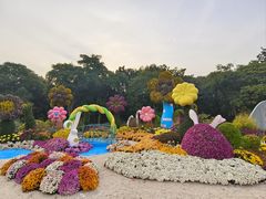 -上海共青森林公园