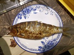 气泡鱼-熙成烧烤·三十三年(开发区店)
