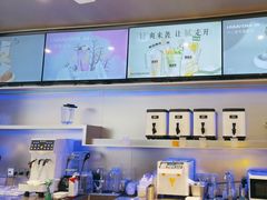 -TD66高山铁皮石斛养生茶饮