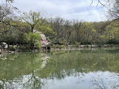 -灵谷景区
