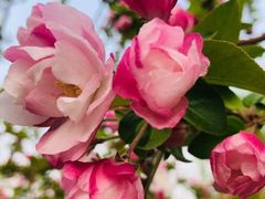 -元大都城垣遗址公园