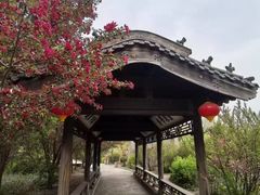 -爱新觉罗皇家博物院