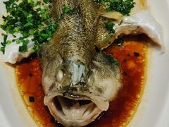 葱香鲈鱼-晋家门(文峰广场店)