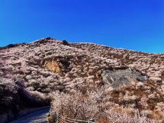 -妙峰山风景名胜区
