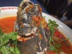 -坛宗剁椒鱼头(河西王府井店)