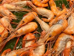 -TABLE·味西餐厅-成都茂业JW万豪酒店