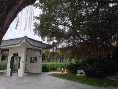 -四海公园(南山区)