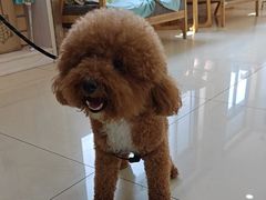 -宠颐生宠物医院·骨外科·犬猫全科诊疗中心(池州店)