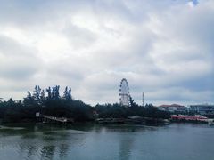 -万绿园