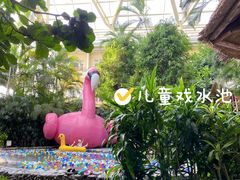 -龙熙温泉水世界
