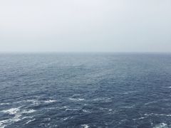 -广东惠东海龟国家级自然保护区