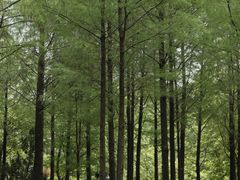 -人民公园(罗湖区)