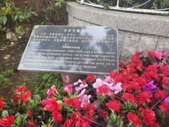 -八大关景区