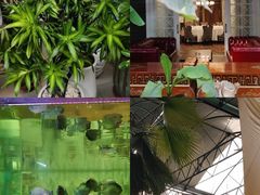 -北国之春国宴(乌兰察布店)