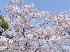 -苏州上方山国家森林公园