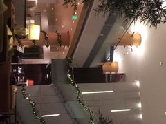 -丽思卡尔顿酒店泳池(金融街店)