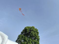 -上海月湖雕塑公园