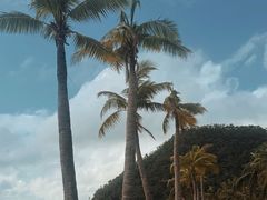 -日落吧·海景咖啡厅·餐酒吧·鸡尾酒·下午茶·乐队表演·浪漫夕阳·三亚文华东方酒店