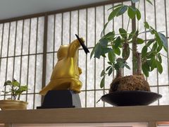 -长风拨筋养身(金虹桥店)