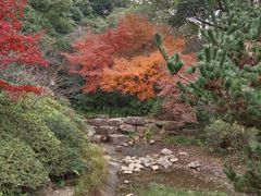 -杭州半山国家森林公园