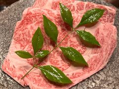 -然锅料理