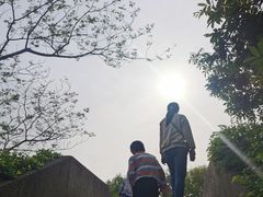 -朵云书院·广富林店