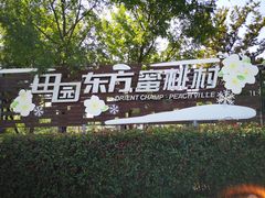 -田园东方蜜桃村的田野营地