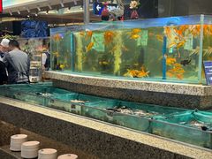 -初色海鲜自助(万丰路店)