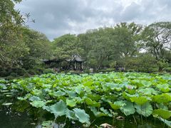 -颐缘居·南翔小笼馆