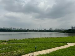 -海珠湖公园