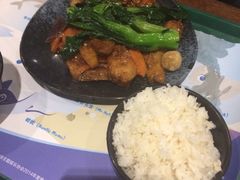 -雨林餐厅(长隆海洋王国店)