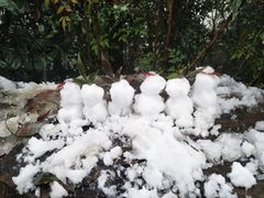 -杭州半山国家森林公园